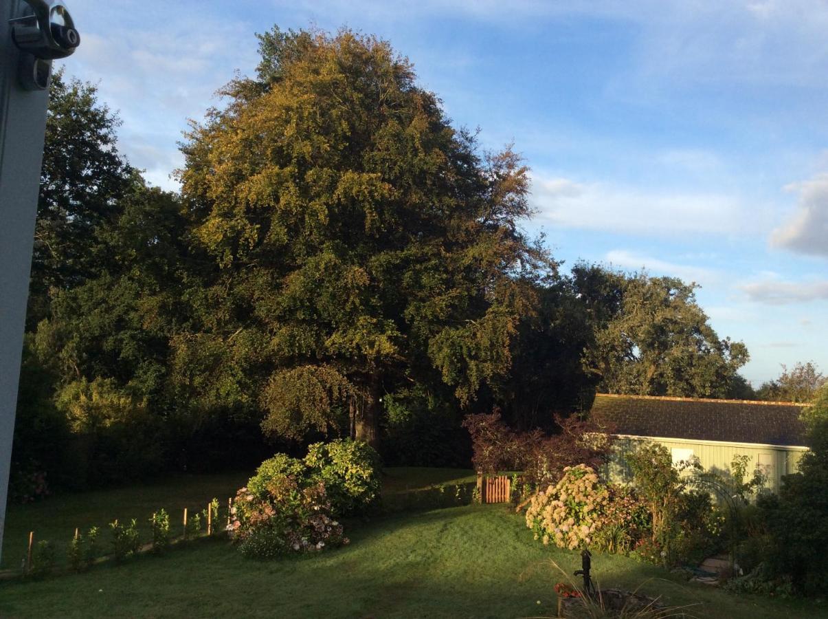 Beech Hut - A Streamside Family Escape Near Salcombe And Beaches South Milton Extérieur photo