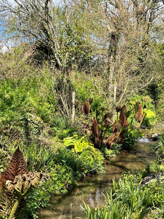 Beech Hut - A Streamside Family Escape Near Salcombe And Beaches South Milton Extérieur photo