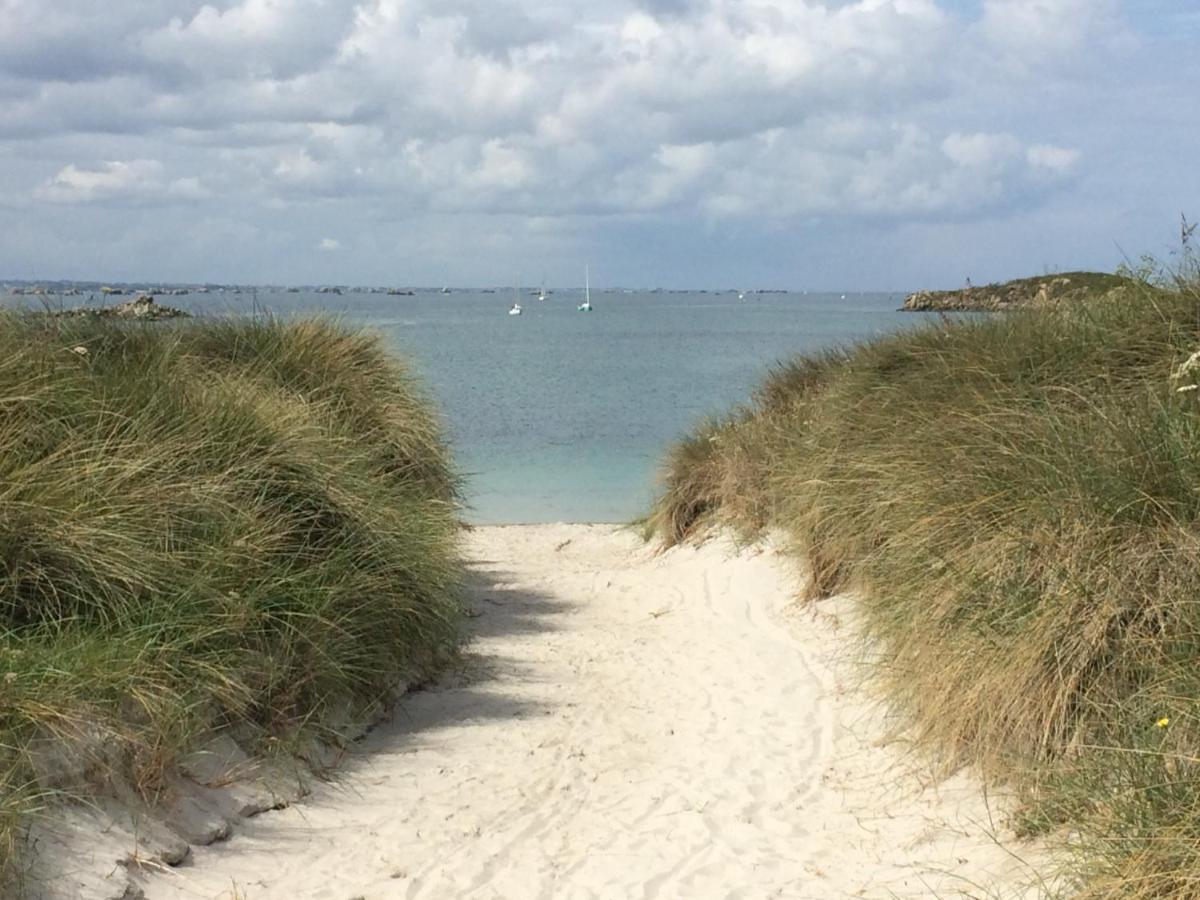 Beech Hut - A Streamside Family Escape Near Salcombe And Beaches South Milton Extérieur photo