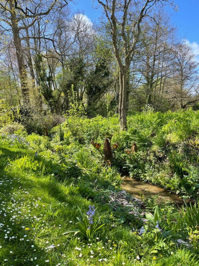Beech Hut - A Streamside Family Escape Near Salcombe And Beaches South Milton Extérieur photo